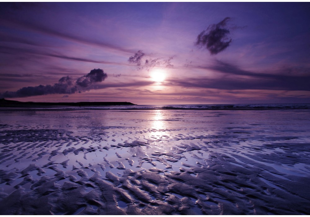 Get Wallpaper Fotobehang Strand Zee Paars 312x219cm Fotobehangart Nl For Free
