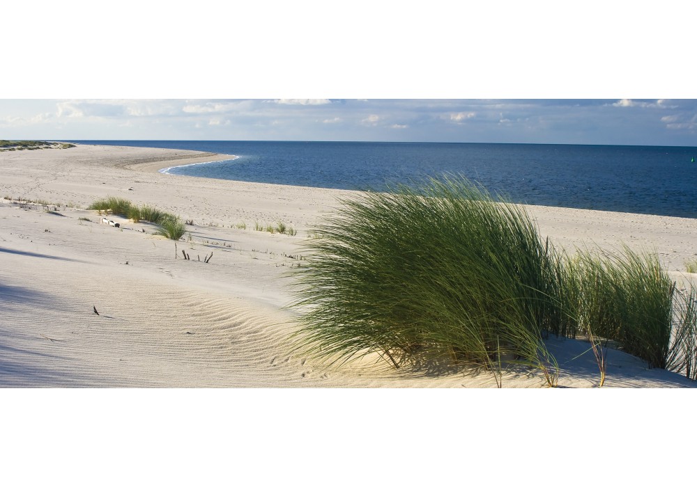 Get Wallpaper Fotobehang Strand Blauw 250x104cm Fotobehangart Nl Free