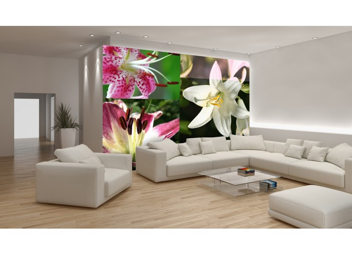 Fotobehang Bloemen | Roze, Groen | 104x70,5cm