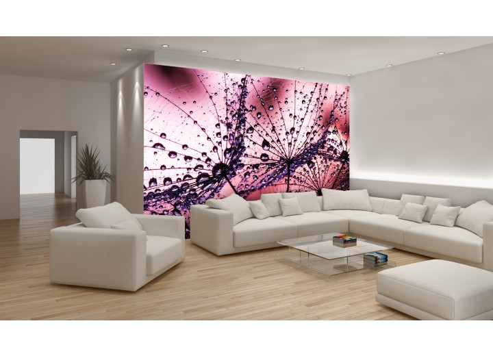 Fotobehang Bloemen | Paars, Roze | 104x70,5cm