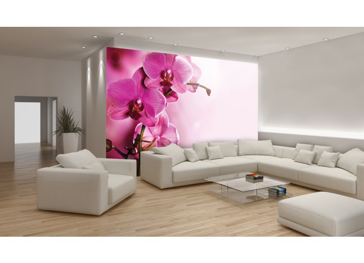 Fotobehang Orchidee, Bloem | Roze | 152,5x104cm