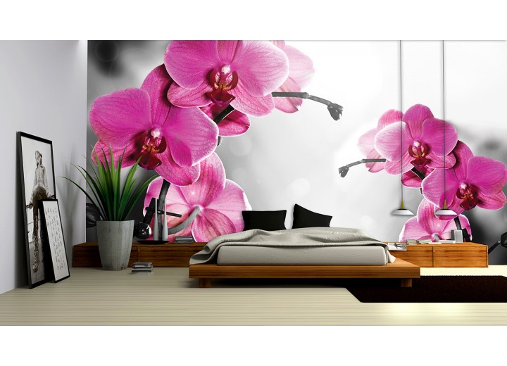 Fotobehang Orchideeën, Bloem | Roze | 104x70,5cm