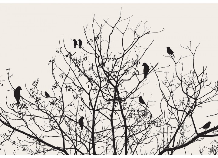 Fotobehang Vlies | Vogels, Boom | Zwart | 368x254cm (bxh)