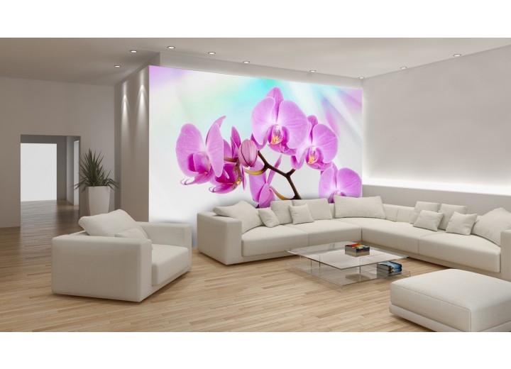 Fotobehang Papier Bloemen, Orchidee | Roze, Paars | 254x184cm