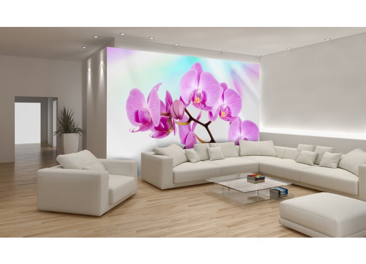 Fotobehang Papier Bloemen, Orchidee | Roze, Paars | 368x254cm