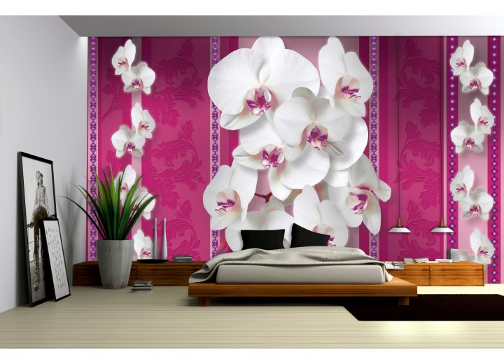 Fotobehang Bloemen, Orchideeën | Roze, Wit | 416x254