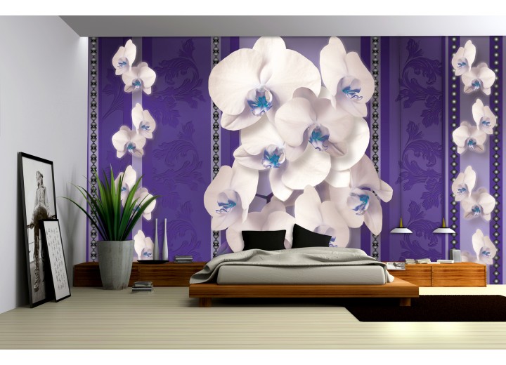 Fotobehang Bloemen, Orchideeën | Paars | 416x254