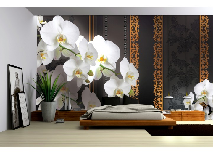 Fotobehang Bloemen, Orchideeën | Wit | 416x254