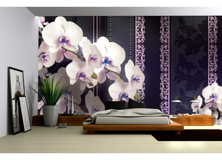 Fotobehang Papier Bloemen, Orchideeën | Paars | 368x254cm