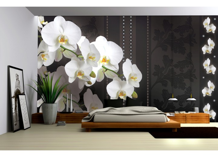 Fotobehang Bloemen, Orchideeën | Wit | 152,5x104cm