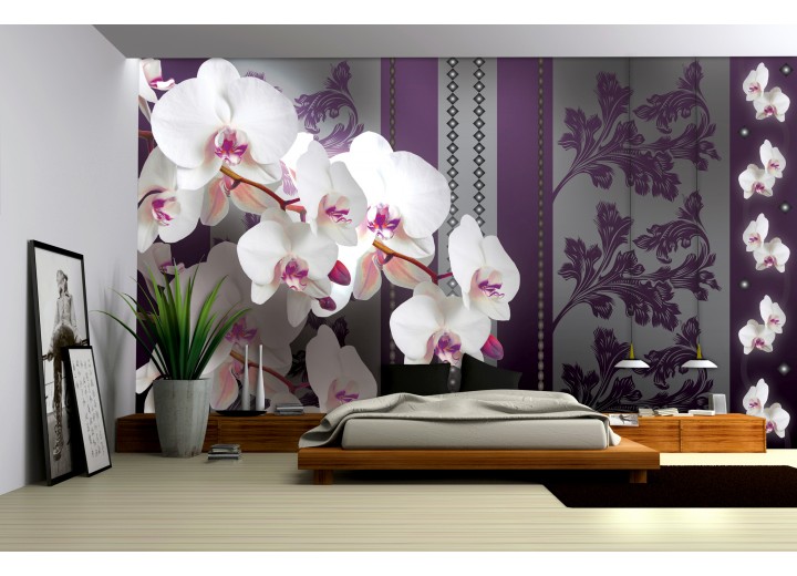 Fotobehang Bloemen, Orchideeën | Paars | 152,5x104cm