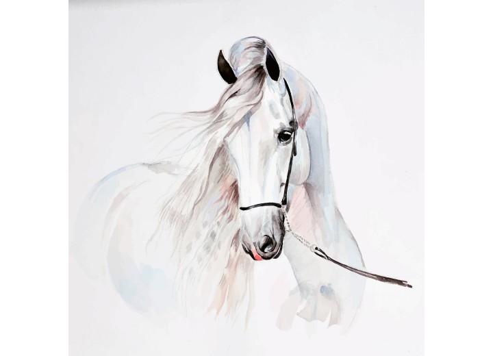 Fotobehang Vlies | Dieren paard | 368x254cm (bxh)
