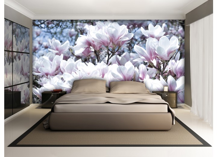 Fotobehang Bloemen, Magnolia | Roze | 416x254