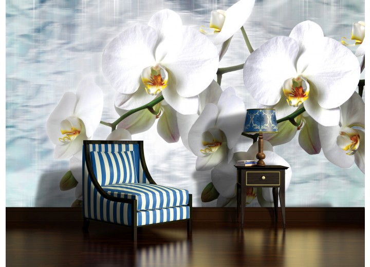 Fotobehang Orchidee, Bloemen | Wit | 104x70,5cm