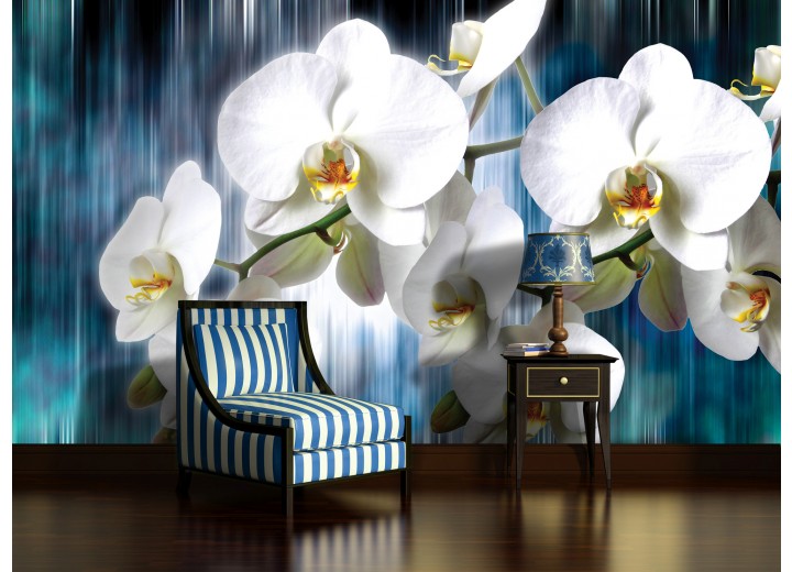 Fotobehang Papier Orchidee, Bloemen | Wit | 254x184cm