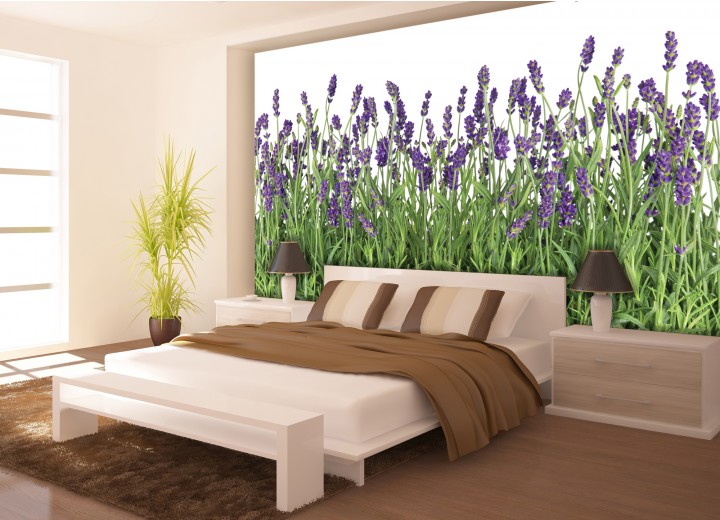 Fotobehang Papier Natuur, Lavendel | Groen | 368x254cm