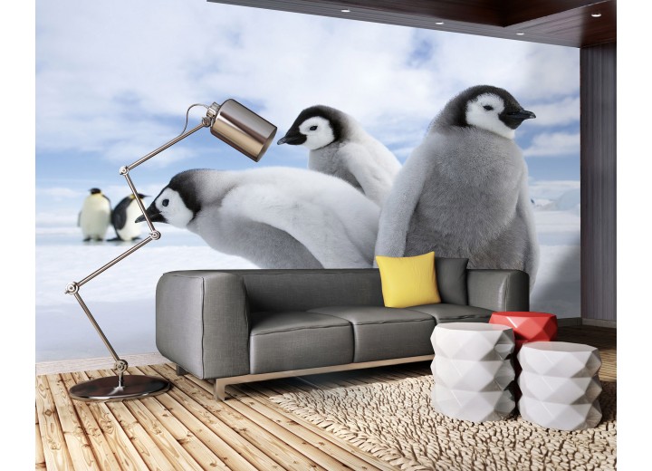 Fotobehang Vlies | Pinguïn, Dieren | Grijs | 368x254cm (bxh)
