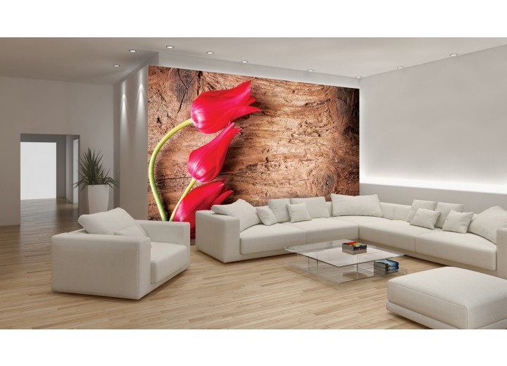 Fotobehang Vlies | Bloemen, Hout | Rood | 368x254cm (bxh)