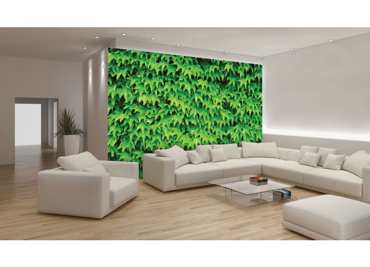 Fotobehang Natuur | Groen | 104x70,5cm