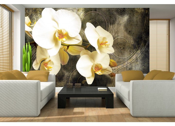 Fotobehang Orchidee, Bloemen | Geel | 312x219cm