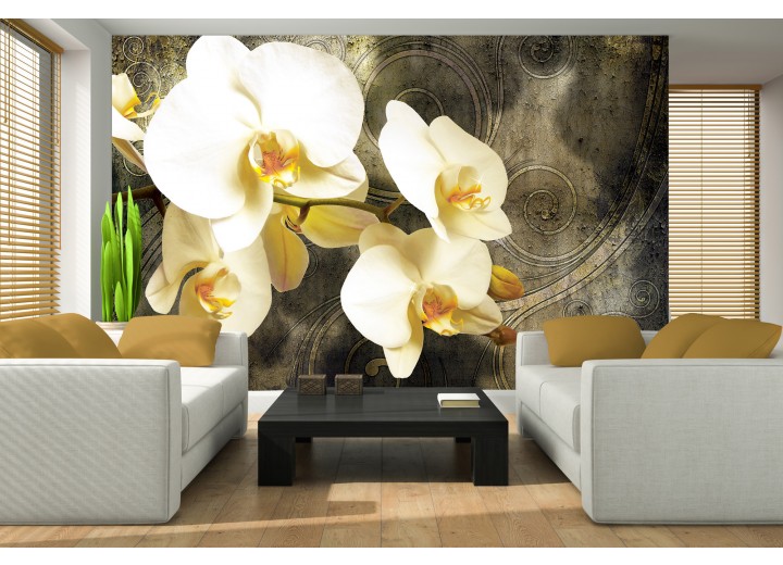 Fotobehang Vlies | Orchidee, Bloemen | Geel | 368x254cm (bxh)