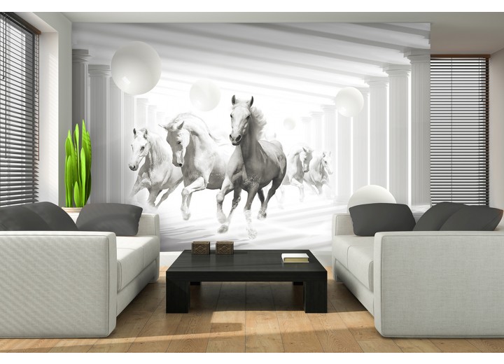 Fotobehang Paarden, Modern | Wit | 104x70,5cm