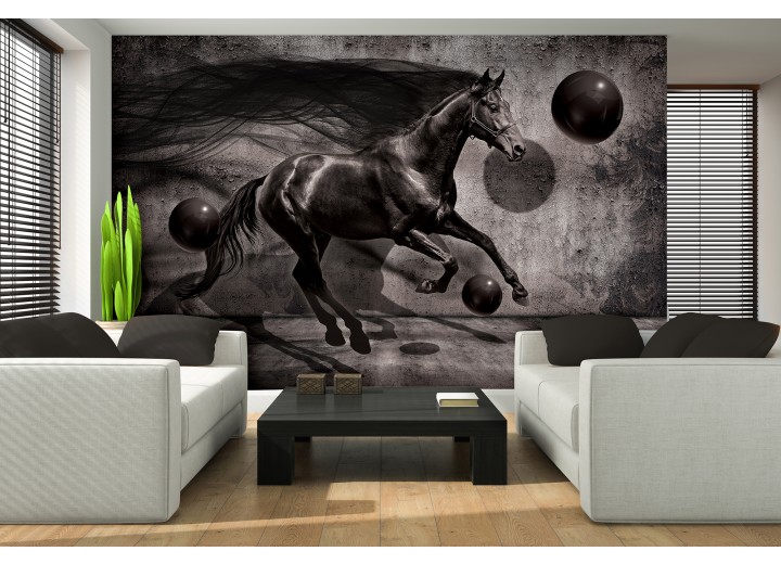 Fotobehang Vlies | Paard, Design | Zwart | 368x254cm (bxh)