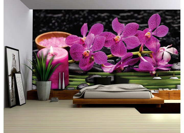Fotobehang Bloemen, Orchidee | Paars | 104x70,5cm