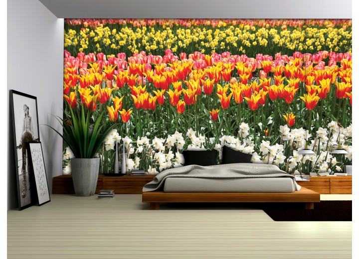 Fotobehang Tulpen, Bloemen | Oranje | 208x146cm