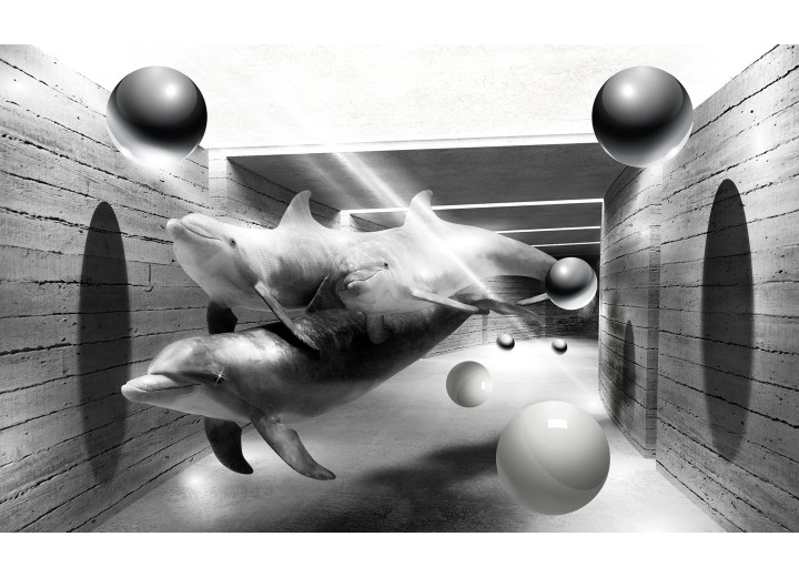 Fotobehang Vlies | 3D, Dolfijnen | Grijs | 368x254cm (bxh)