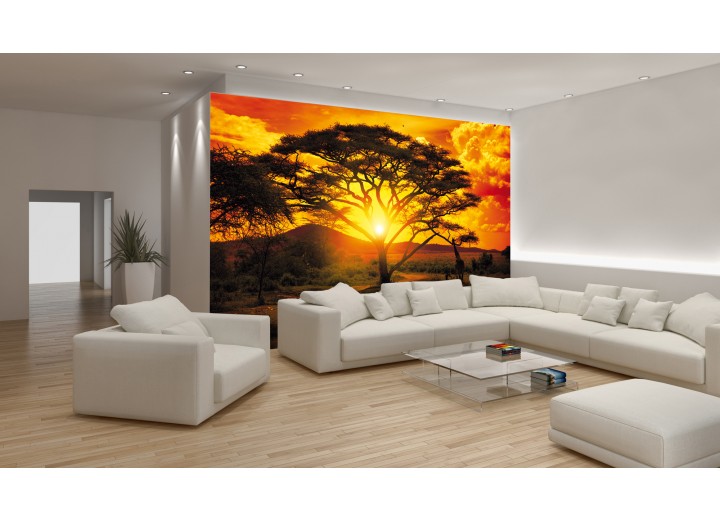 Fotobehang Natuur, Boom | Oranje | 104x70,5cm