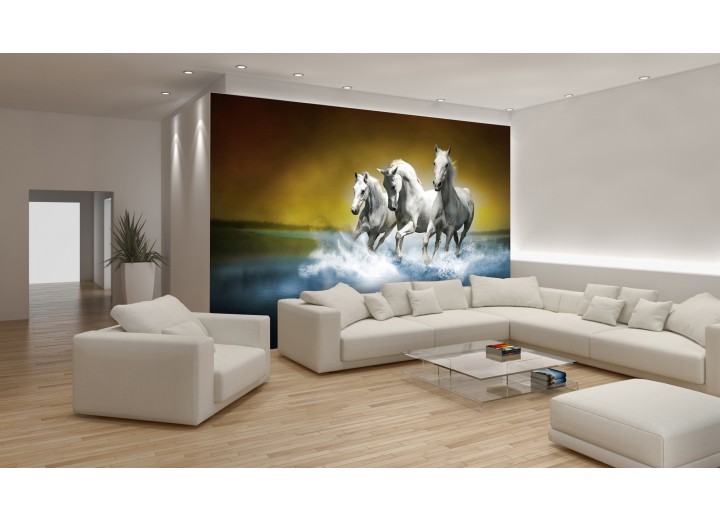 Fotobehang Papier Paarden | Blauw, Wit | 254x184cm