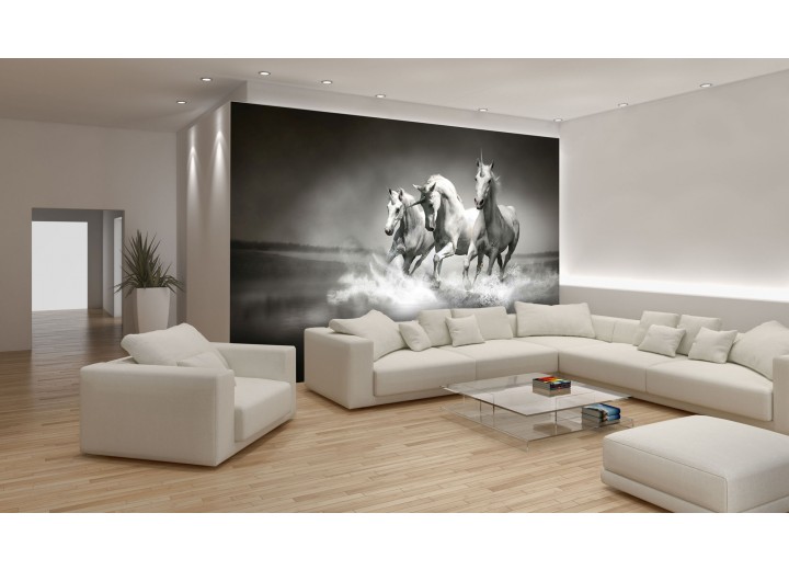 Fotobehang Paarden | Zwart, Wit | 312x219cm