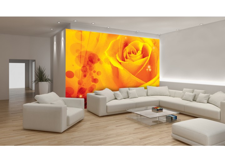 Fotobehang Abstract | Oranje | 104x70,5cm
