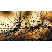 Fotobehang Bloemen | Bruin, Goud | 104x70,5cm