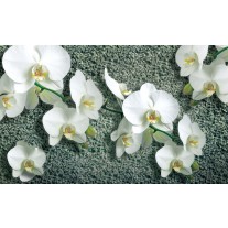 Fotobehang Papier Orchideeën, Bloem | Wit | 254x184cm