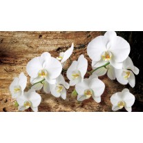 Fotobehang Papier Orchideeën, Bloem | Bruin | 254x184cm