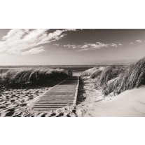 Fotobehang Strand | Grijs, Zwart | 152,5x104cm