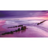 Fotobehang Papier Strand, Zee | Paars | 254x184cm