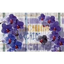 Fotobehang Landelijk, Orchidee | Paars | 152,5x104cm