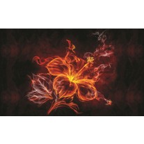 Fotobehang Papier Bloemen | Oranje | 368x254cm