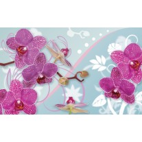 Fotobehang Orchideeën, Bloemen | Roze | 104x70,5cm