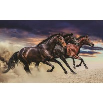 Fotobehang Papier Paarden | Bruin | 254x184cm