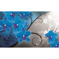 Fotobehang Bloemen, Orchidee | Blauw, Grijs | 152,5x104cm