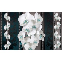 Fotobehang Papier Bloemen, Orchideeën | Turquoise | 254x184cm