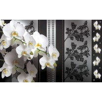 Fotobehang Papier Bloemen, Orchideeën | Grijs | 368x254cm