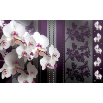 Fotobehang Papier Bloemen, Orchideeën | Paars | 254x184cm