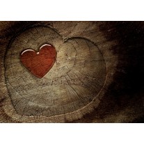 Fotobehang Boom, Hart | Bruin | 104x70,5cm