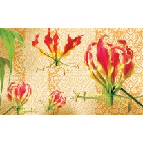 Fotobehang Papier Bloemen | Rood, Oranje | 368x254cm