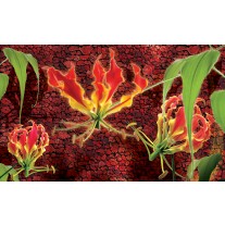 Fotobehang Bloemen | Rood, Groen | 152,5x104cm